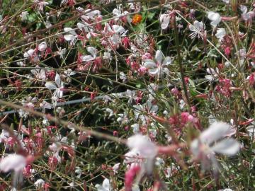 ���������̓����炢�Ă���