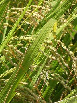 ����قǓ���������䂩��