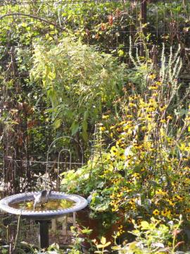 ��ɒ�����������