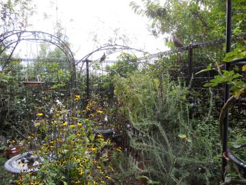 �����̃K�[�f��