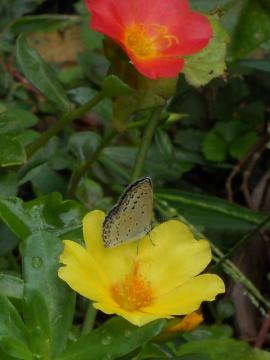 �V�W�~�`���E