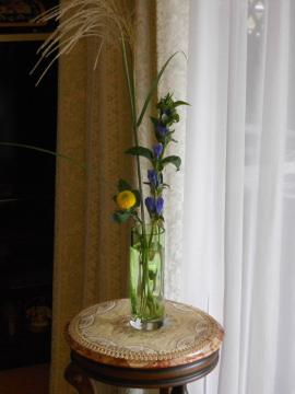 �������p�̃X�X�L