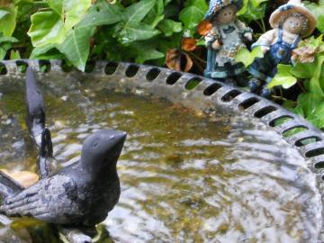 �J�~��̃o�[�h�o�X