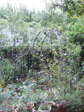 ��A�[�`����