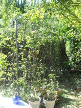 �����̒��̑�A�[�`