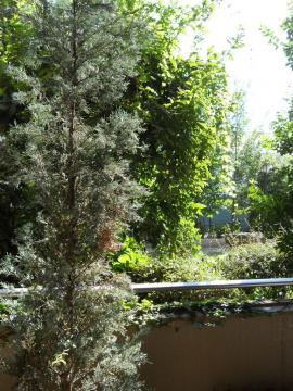 ���e���X