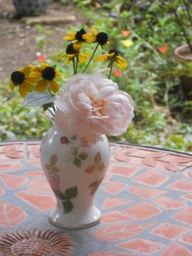 �w���e�[�W�Ƌe