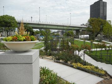 ���V���o����