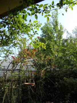 �����T�[���̃A�[�`�Ƃ�A�C�X�o�[�O