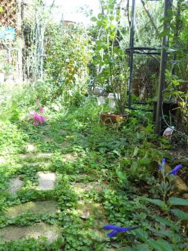 �v���Ԃ�ɐ��ꂽ��