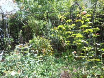 �����΂�����