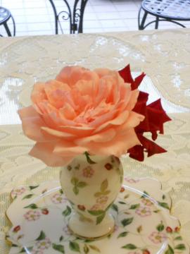 �G���U�x�X�ƃ^�`�A�[�i