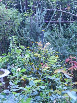 ���[�Y�}���[