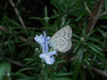 �V�W�~�`���E