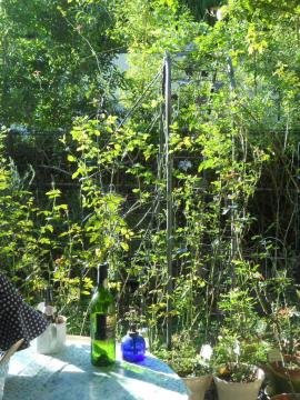 �����̒�