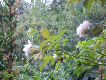 ���N����Ȃ�J