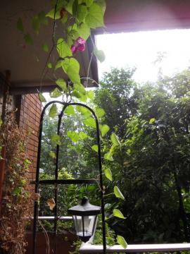 �����̒��̒���