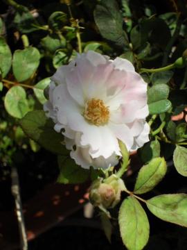 ���H���}�`���_