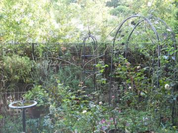 �����̒�