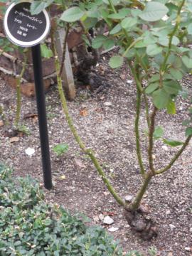 �w�b�v�o�[���̑���