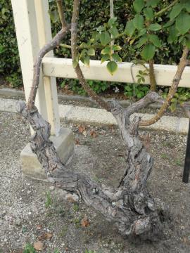 �X�p�j�b�V���r���[�e�B�[