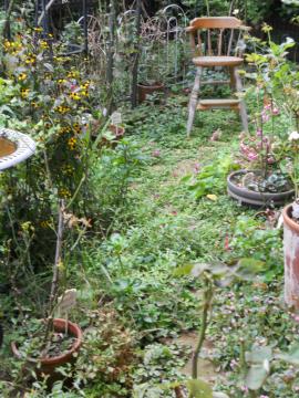 ���̋����}�C�K�[�f��