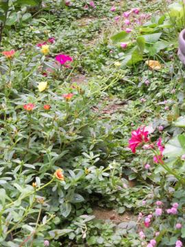 �|�[���`���J