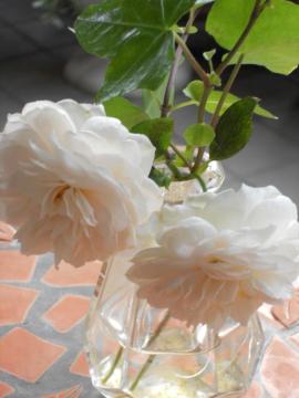 �w���e�[�W