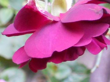 ���C14���A�b�v