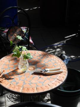 ���p�̒�΂���