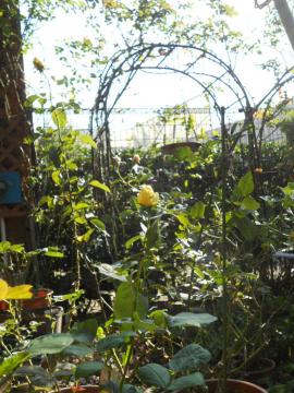 �J�X�N�h�[���ƃA�[�`