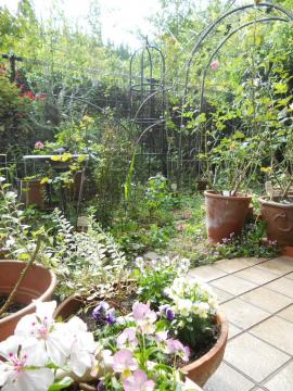 �e���X����������