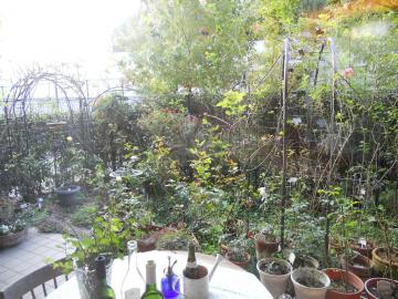 �����̃}�C�K�[�f��