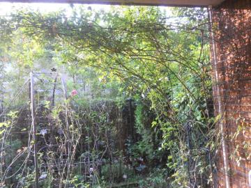 ���̃X�e���O���C