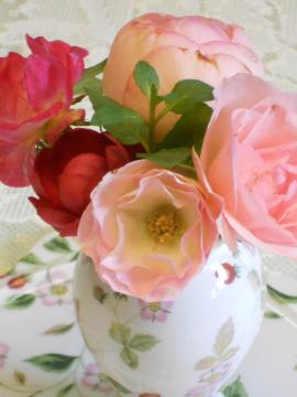 �����̃A�����W