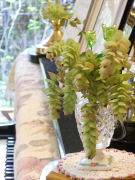 �h���C�t�����[�ɂȂ����I���K�m