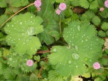 �A���P�~�������X