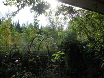 �J�オ��̃}�C�K�[�f��