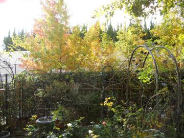 �����̂����}�C�K�[�f��