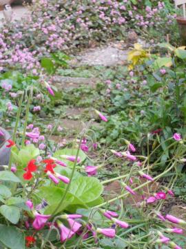 �q���c���\�o