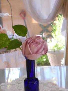 ���Ƀu��-���[������������