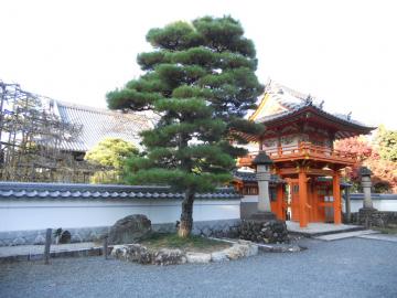 �򕌌��ێ��A��