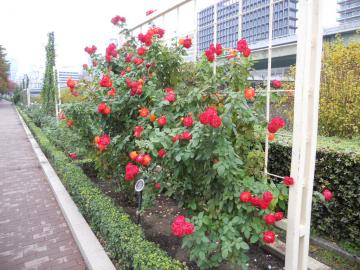 �����Ƃ��Ԑ������o��