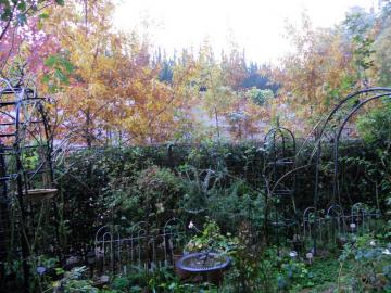 �}�C�K�[�f��