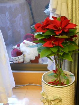 �|�C���Z�`�A�ƃT���^����