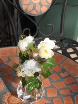 �J�b�g�����X�e���O���C�ƃA�C�r�[