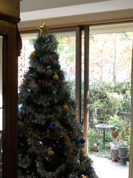 �N���X�}�X�c���[����}�C�K�[�f��