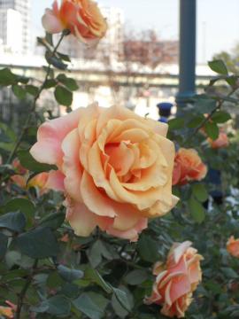 �}�������E�������[