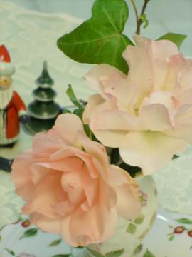 ��Ƃ̃V���p���V���z�[�v