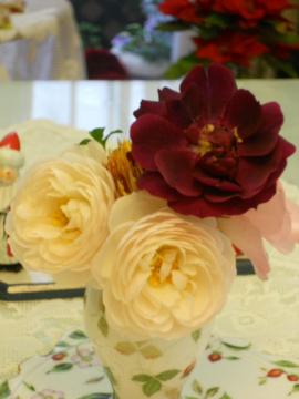 ���C14�����������ɂ�����